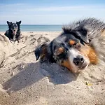 Hébergement de vacances Apfelgarten *