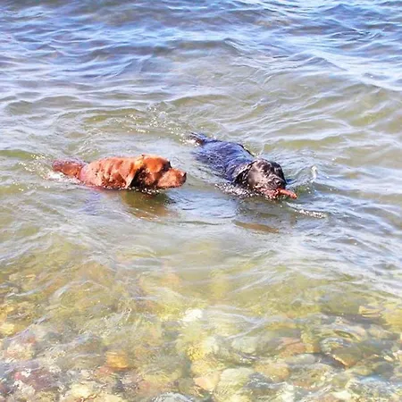 Apfelgarten בית נופש