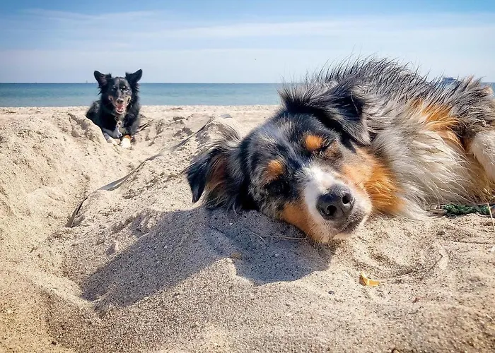 Ferienhaus Apfelgarten *