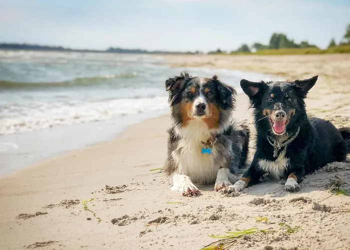 Ferienhaus Apfelgarten